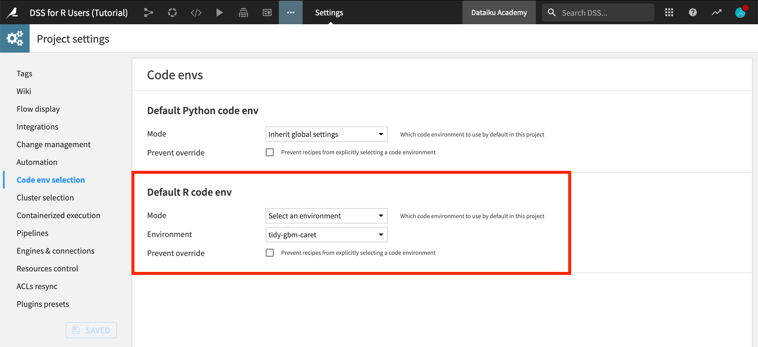 Code environment selection page under settings showing a custom R code environment selected as the default environment