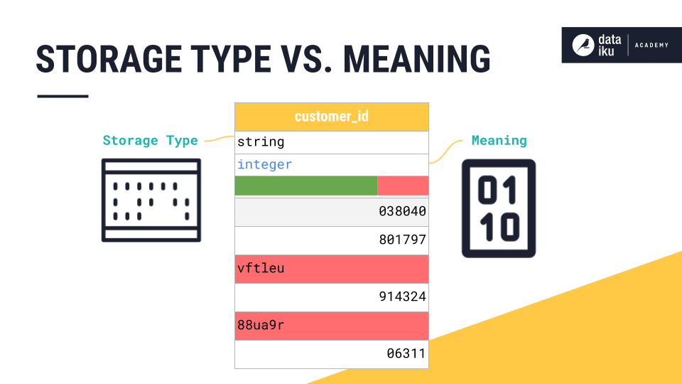 An image showing an example dataset column with its storage type and meaning.