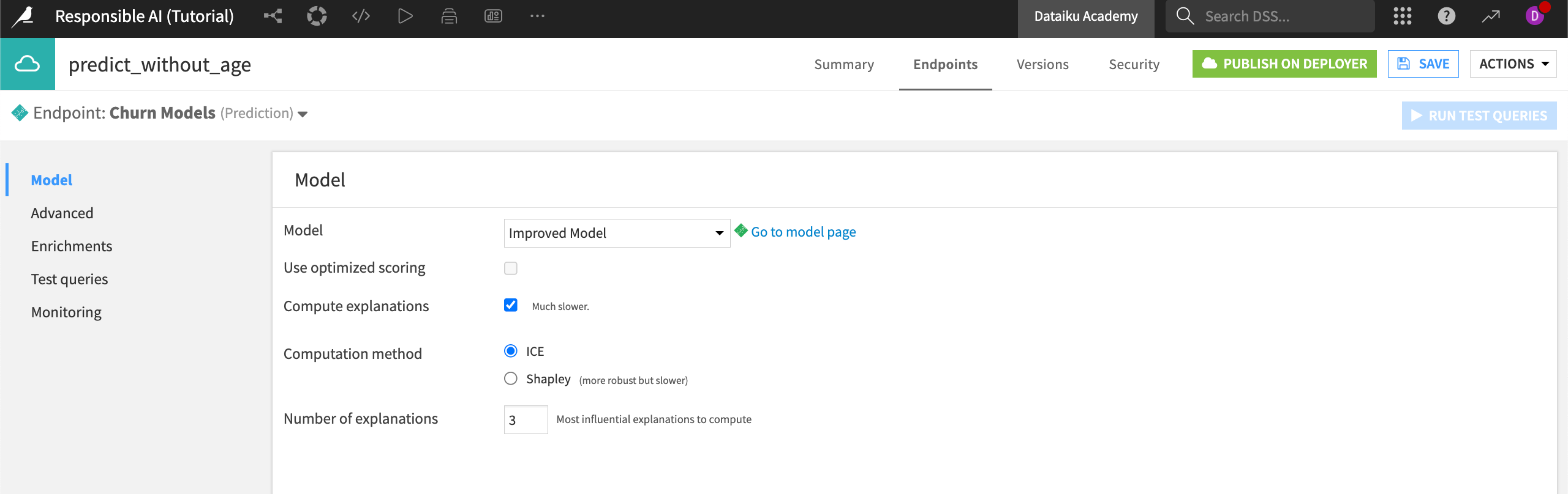 API Endpoint tab with options to compute explanations using the Shapley method.