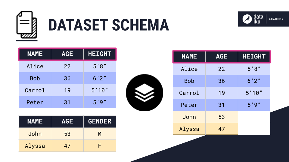 ../../_images/dataset-schema.png