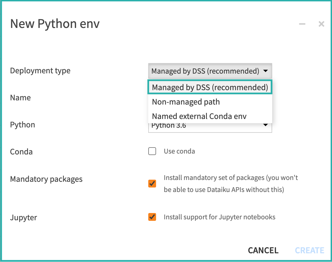 Choosing a DSS managed deployment type for a new Python code environment.