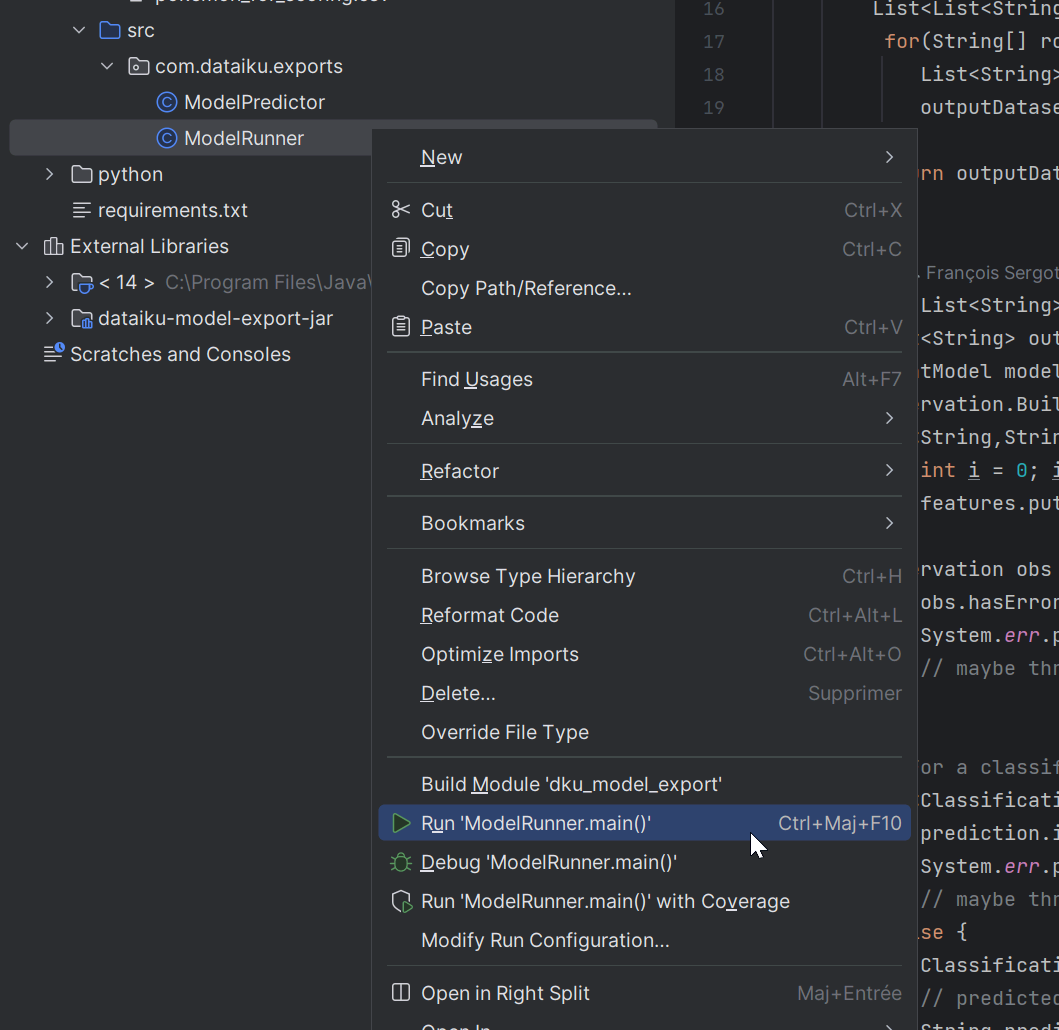 IDE screenshot of the model runner dialog.