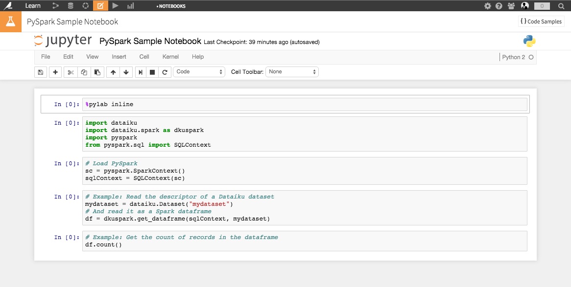 "Jupyter notebook with PySpark starter code"