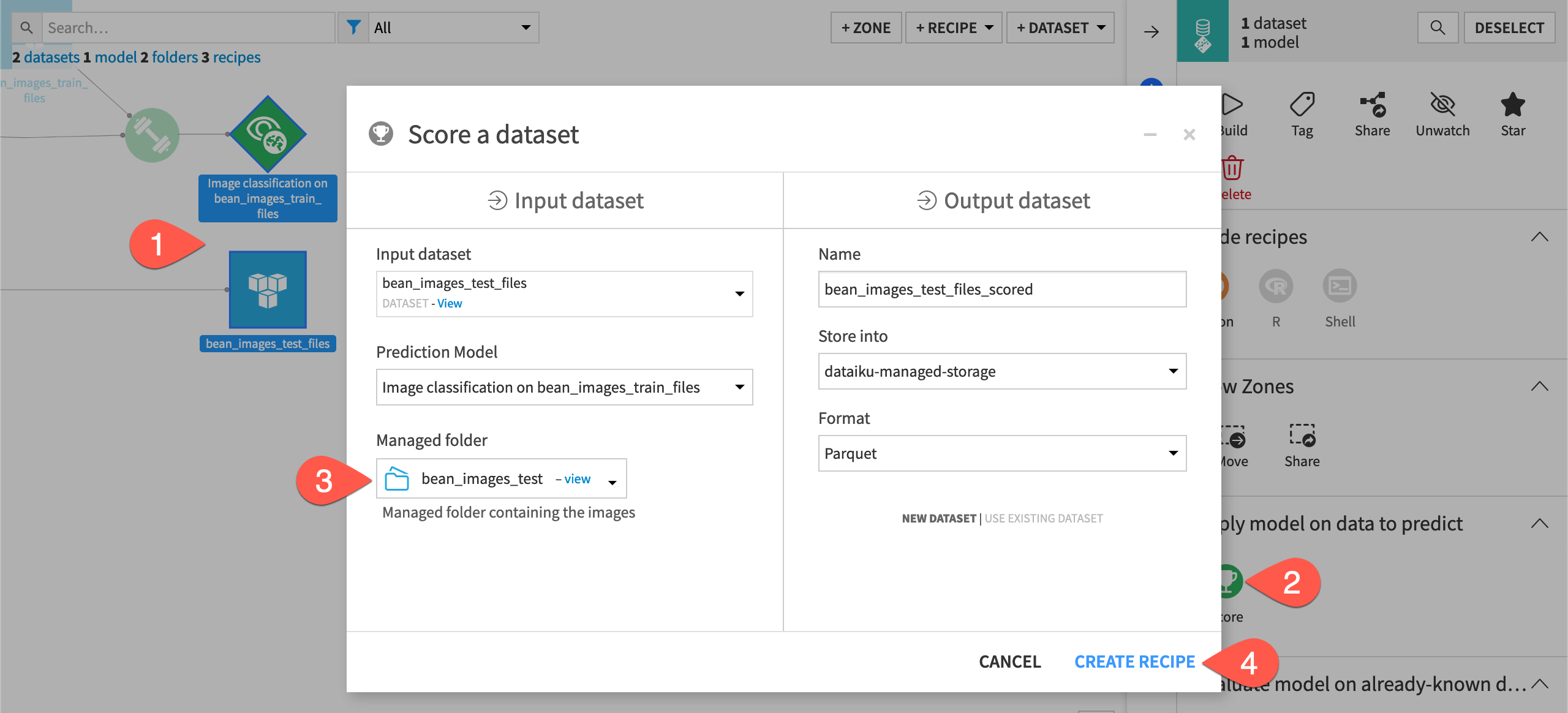 Screenshot showing the Score a dataset info window.