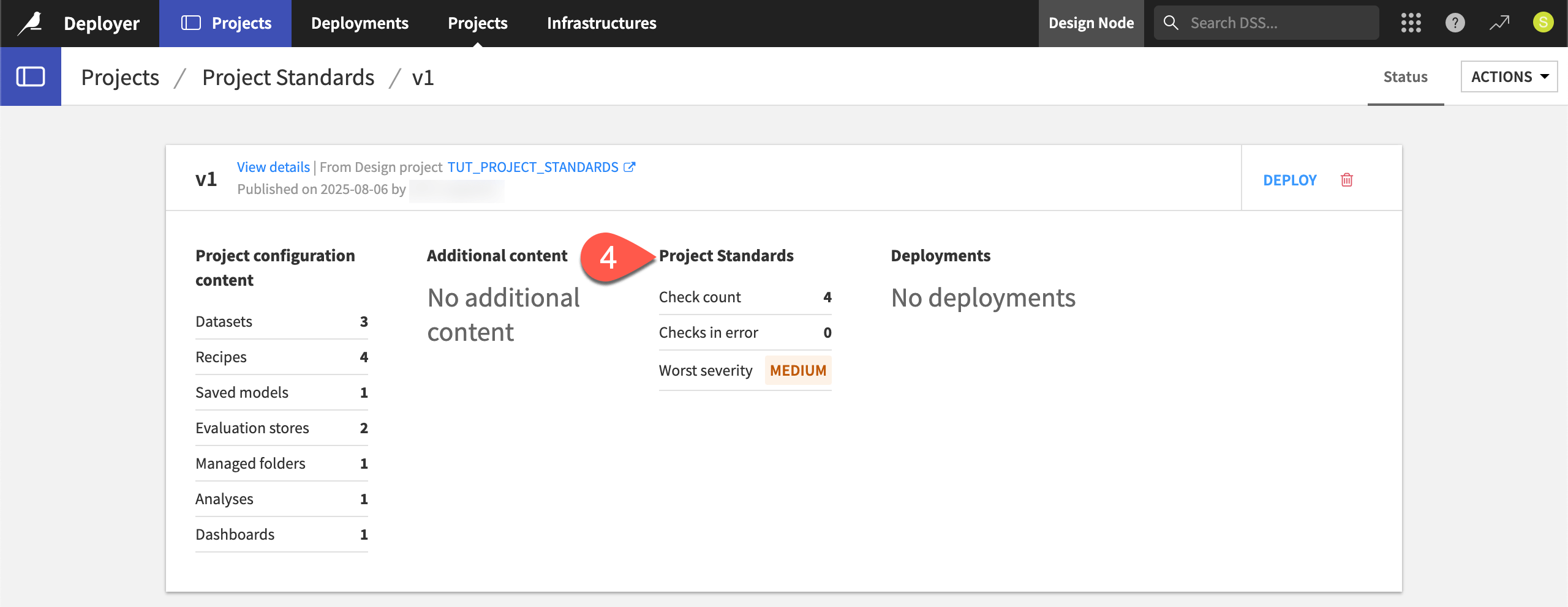 Dataiku screenshot of the Project Standards section of a bundle on the Deployer.