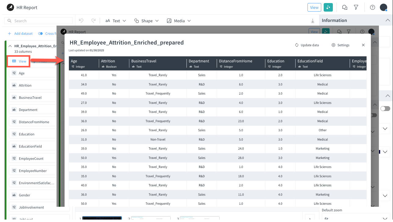 View data from within the story.