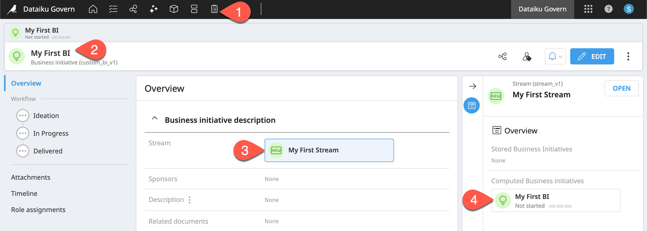 Dataiku screenshot of a custom item.