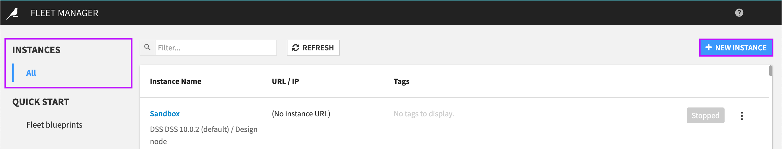 Fleet Manager Instances panel.