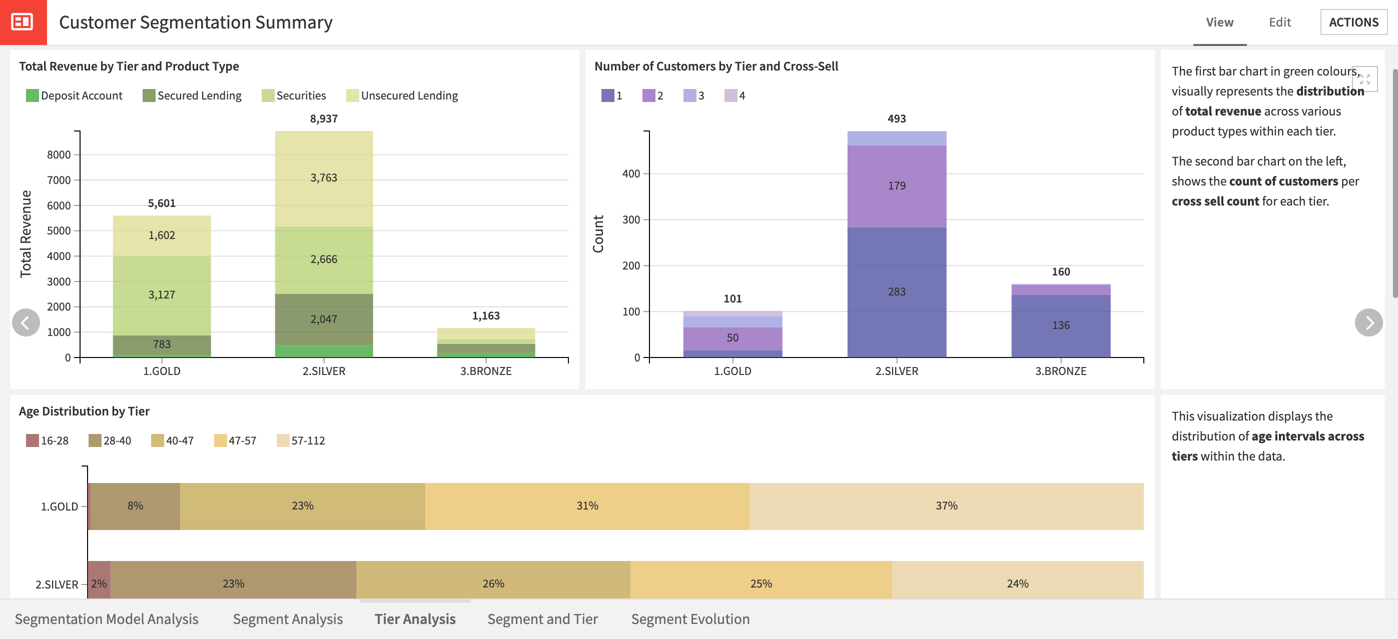 Dataiku screenshot of charts to understand customer tiers.