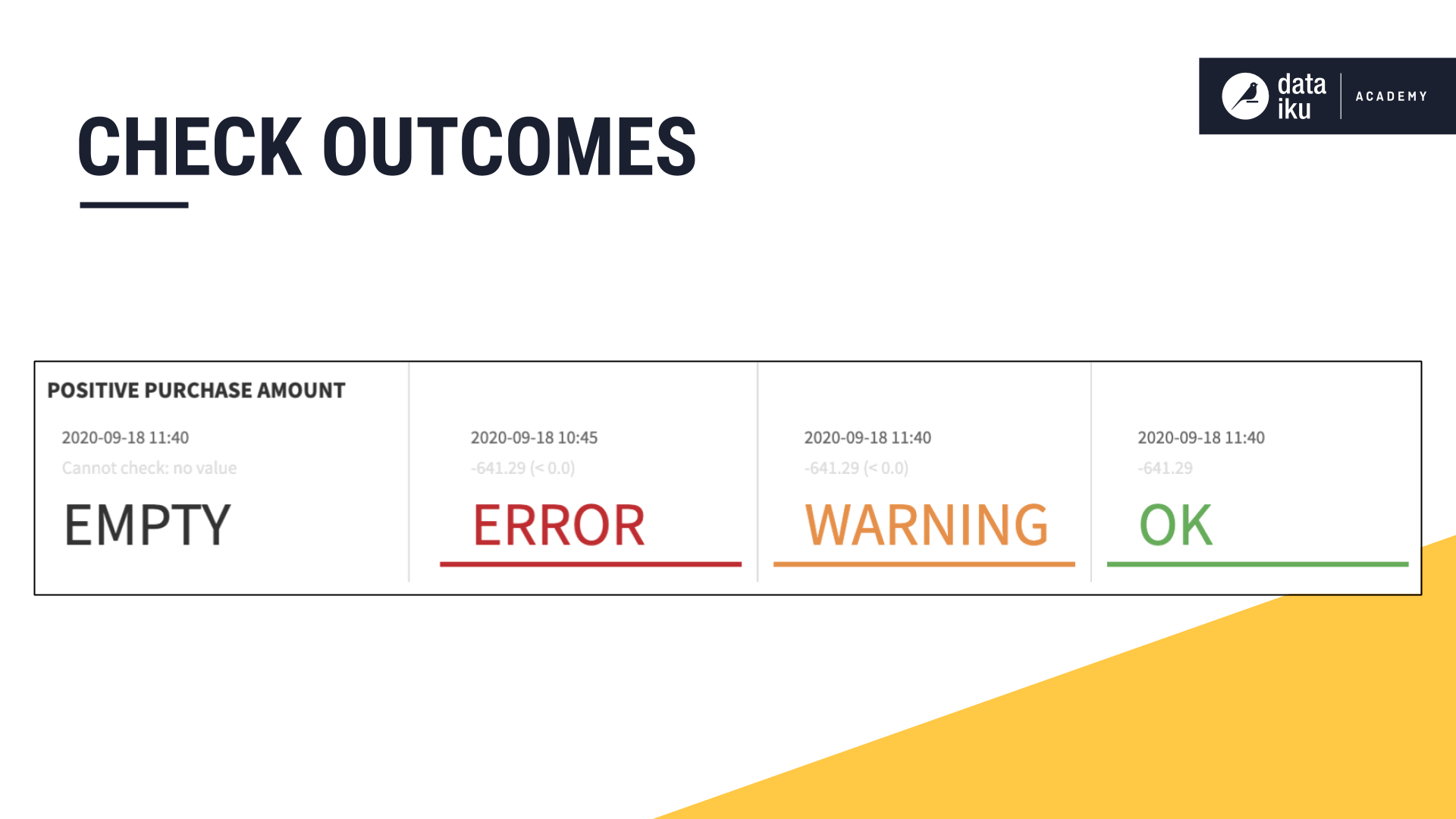 Slide depicting an example of outcomes for a check called Positive Purchase Amount.