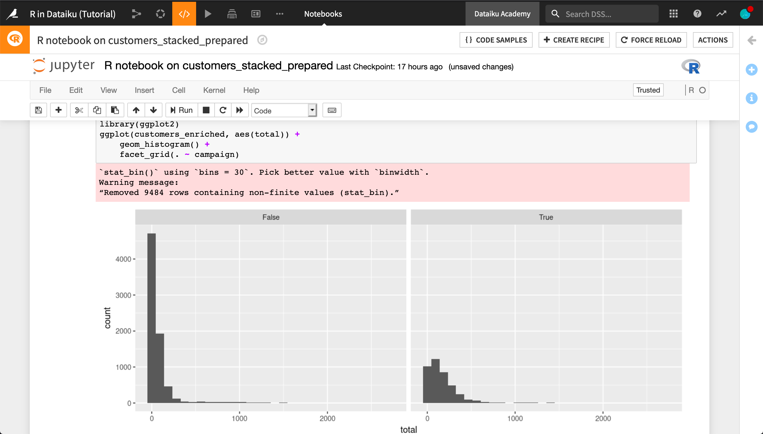 ../../../_images/tshirt-r-customers-notebook-histogram-01.png