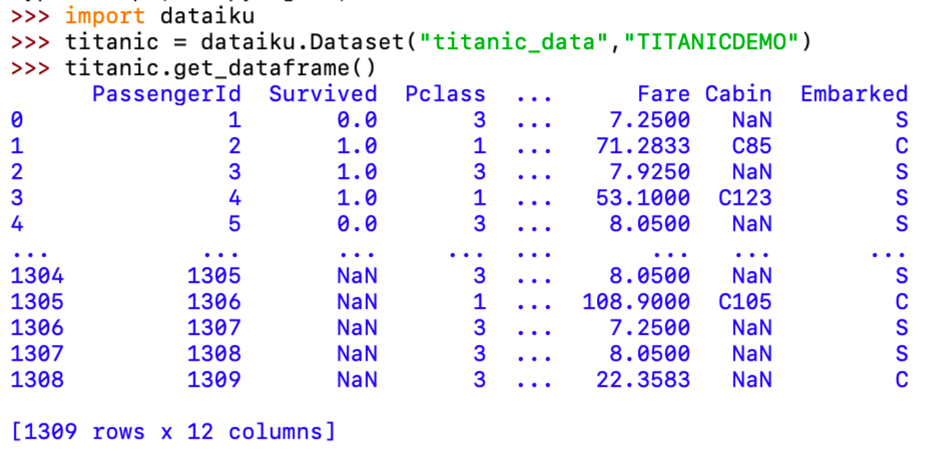 Terminal output using the API to view a dataset.