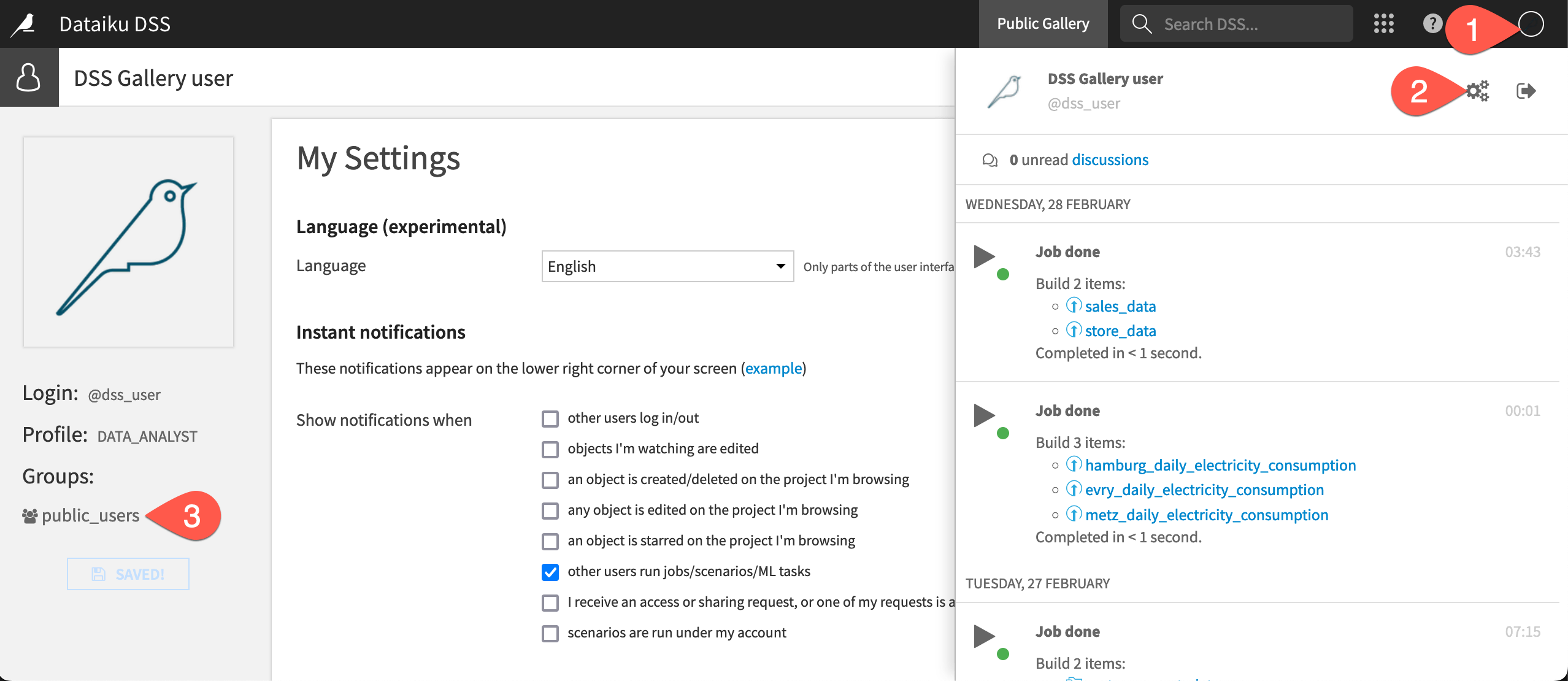 Dataiku screenshot of the profile page.