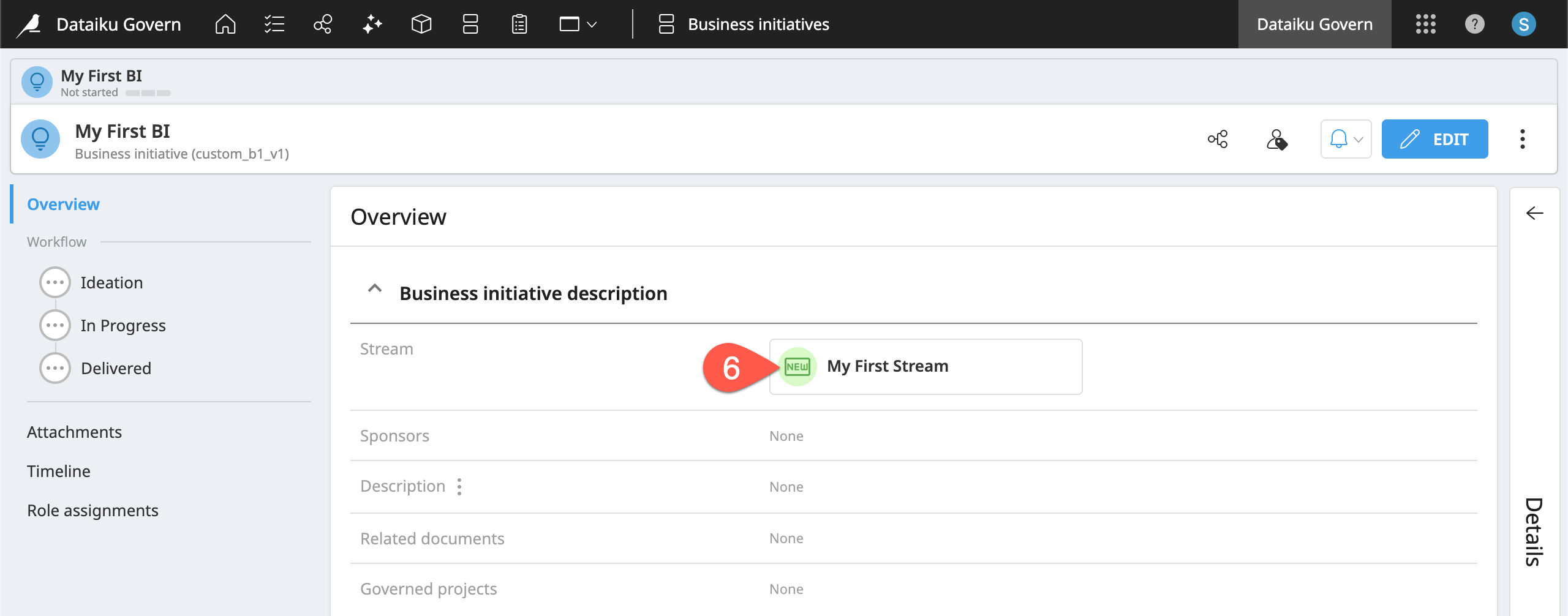 Dataiku screenshot of a Business initiative including a custom item field.