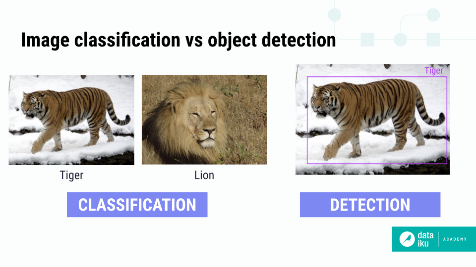 Examples of image classification (labeling images as either lion or tiger) and object detection (identifying a tiger in an image).