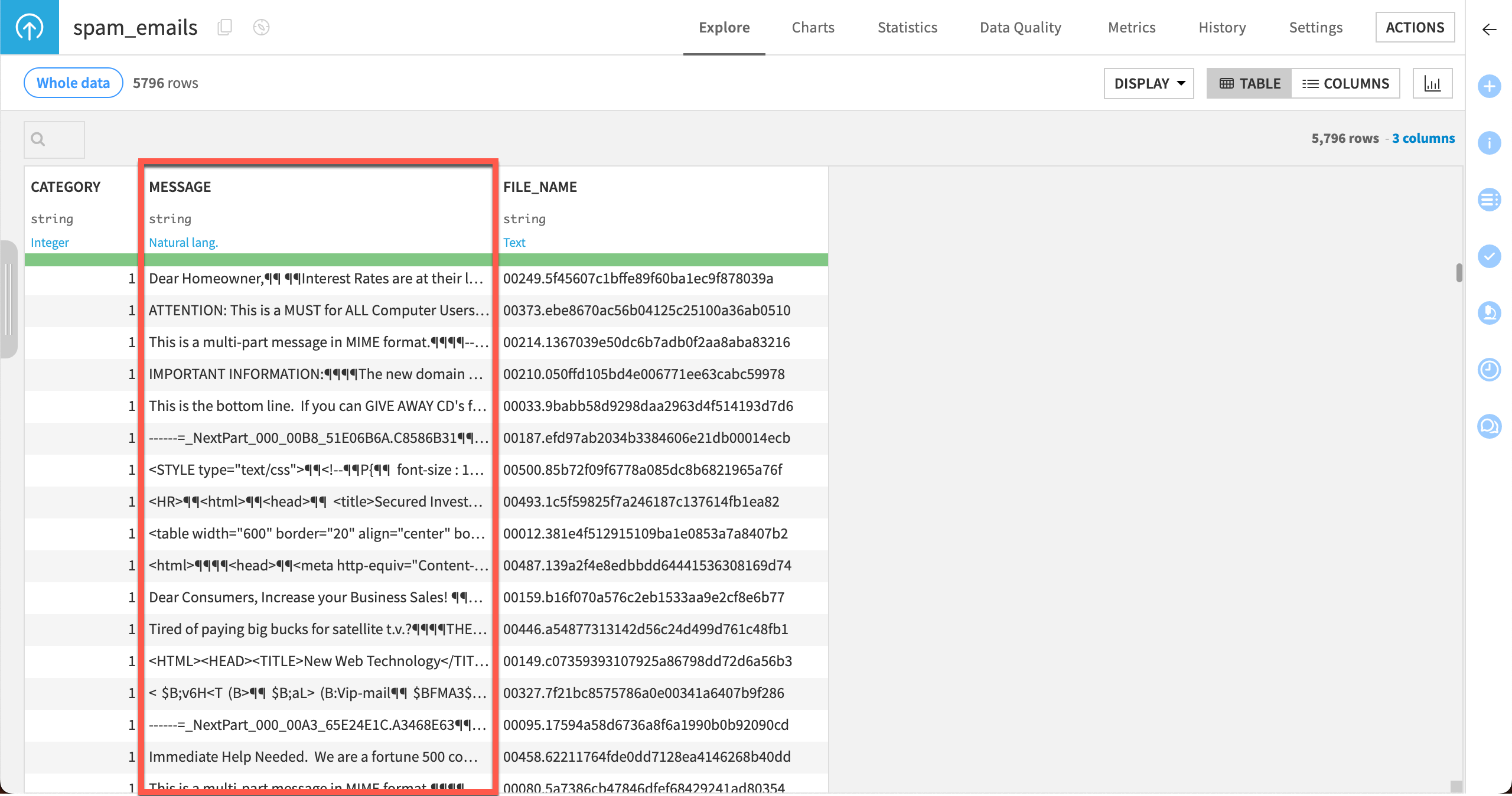 An example dataset showing a text column in training data.