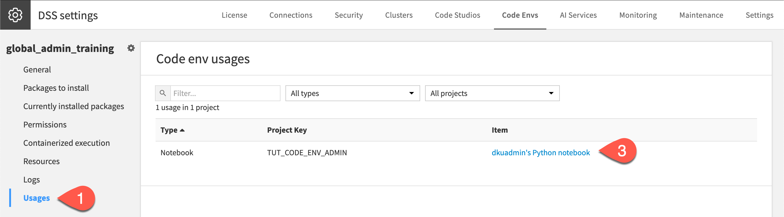 Dataiku screenshot of the Usages panel of a code environment.