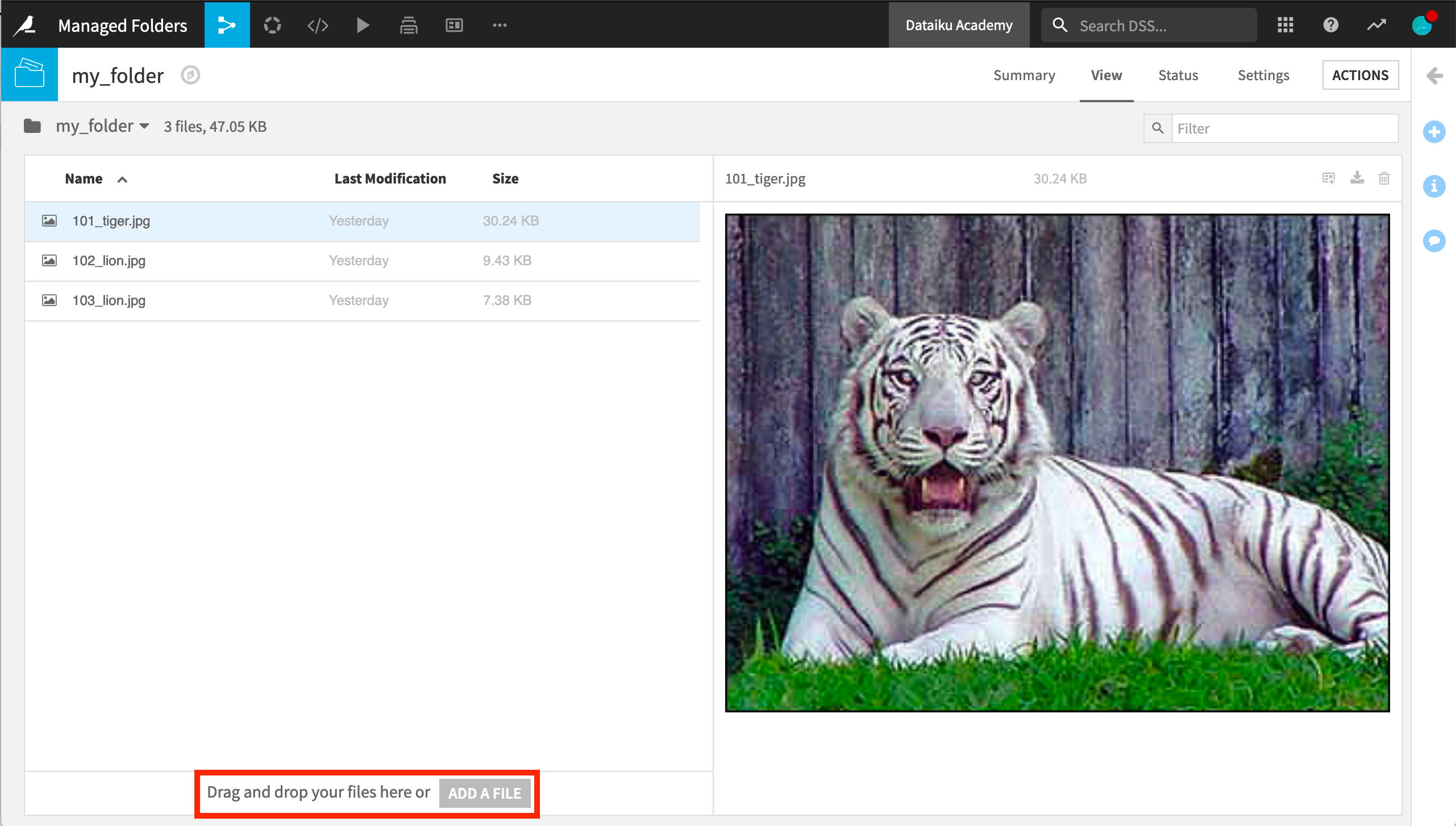 Dataiku screenshot of an image in a managed folder.