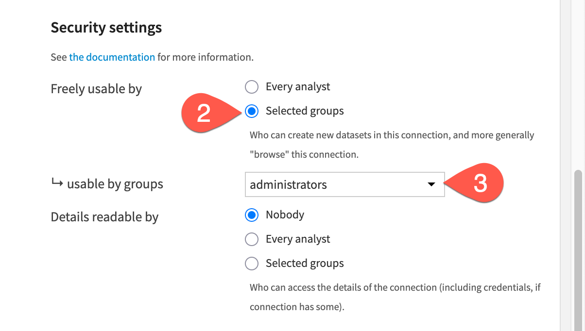 Dataiku screenshot of the freely usable by connection setting.