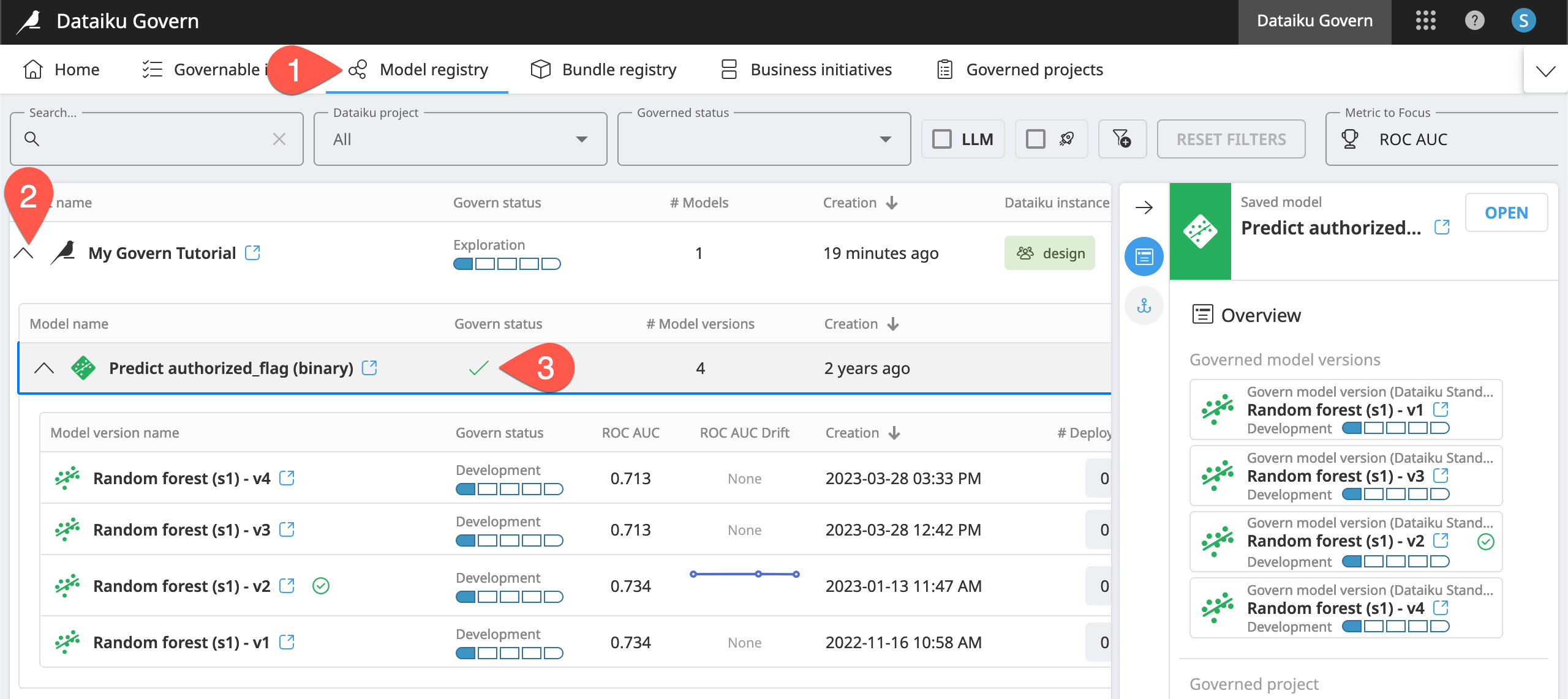 Screenshot highlighting the model row that needs to be governed in this project.