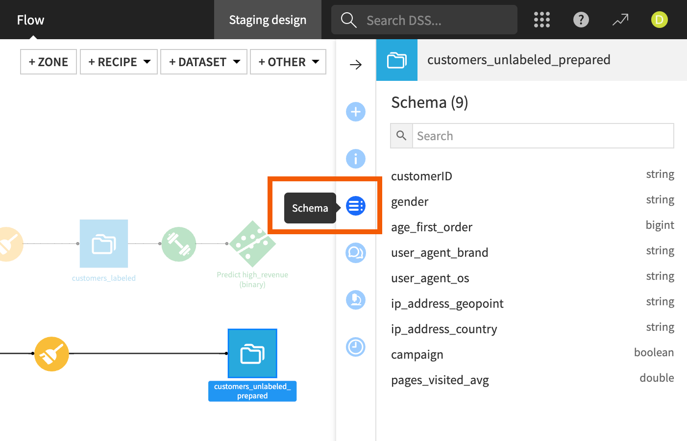 Screenshot of the Schema tab for a dataset.