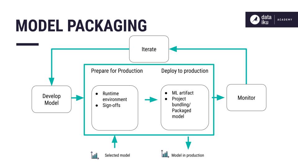 Flow chart of model packaging for deployment.