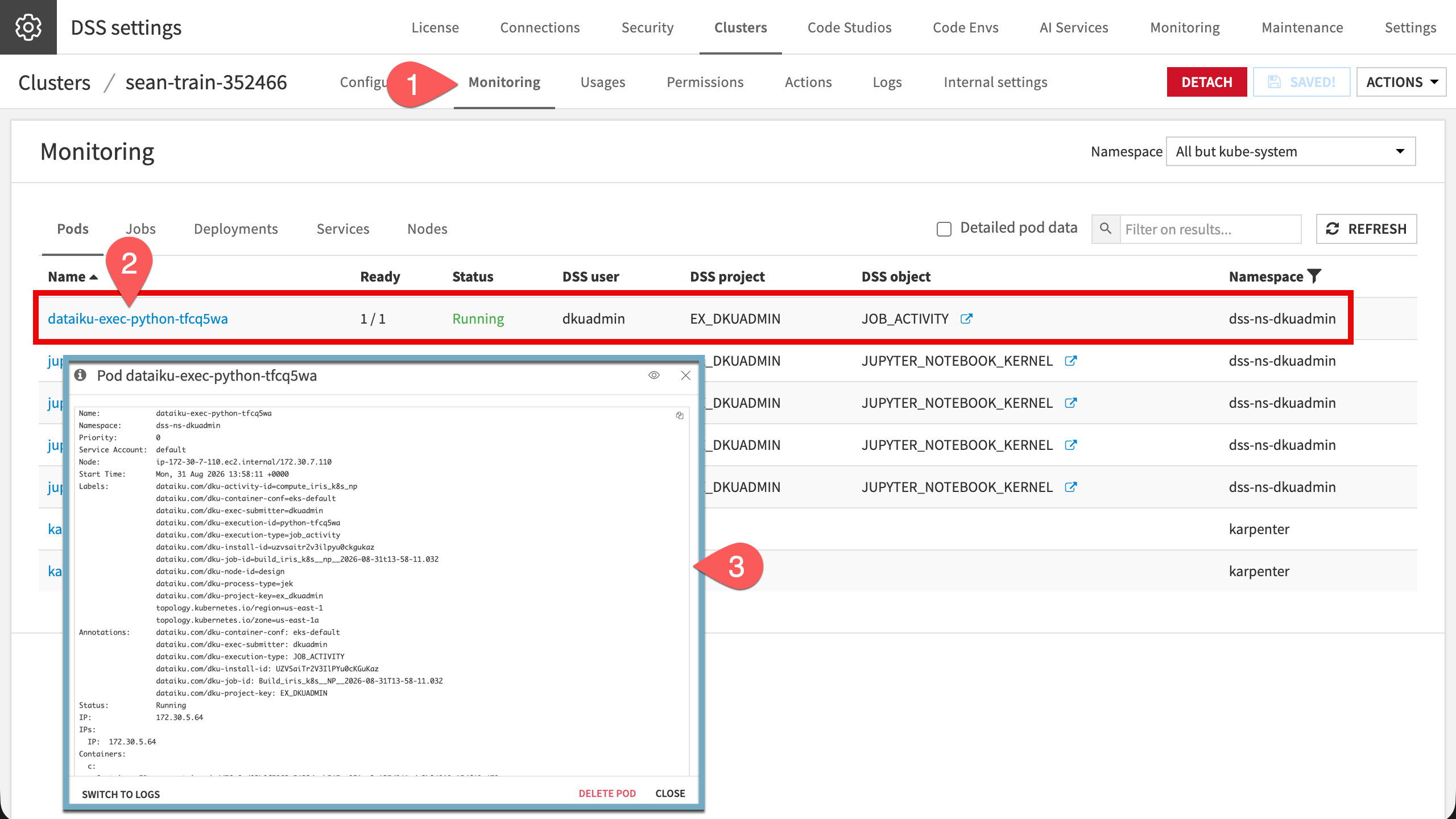 Screenshot of the pod created in the cluster settings.