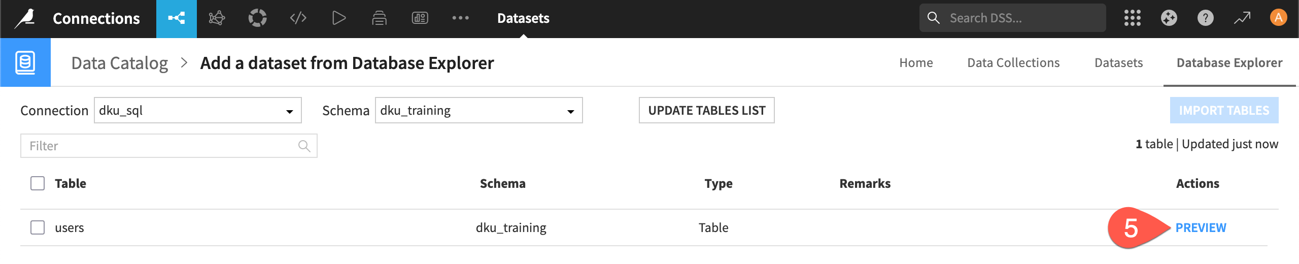 Dataiku screenshot of the Database Explorer.