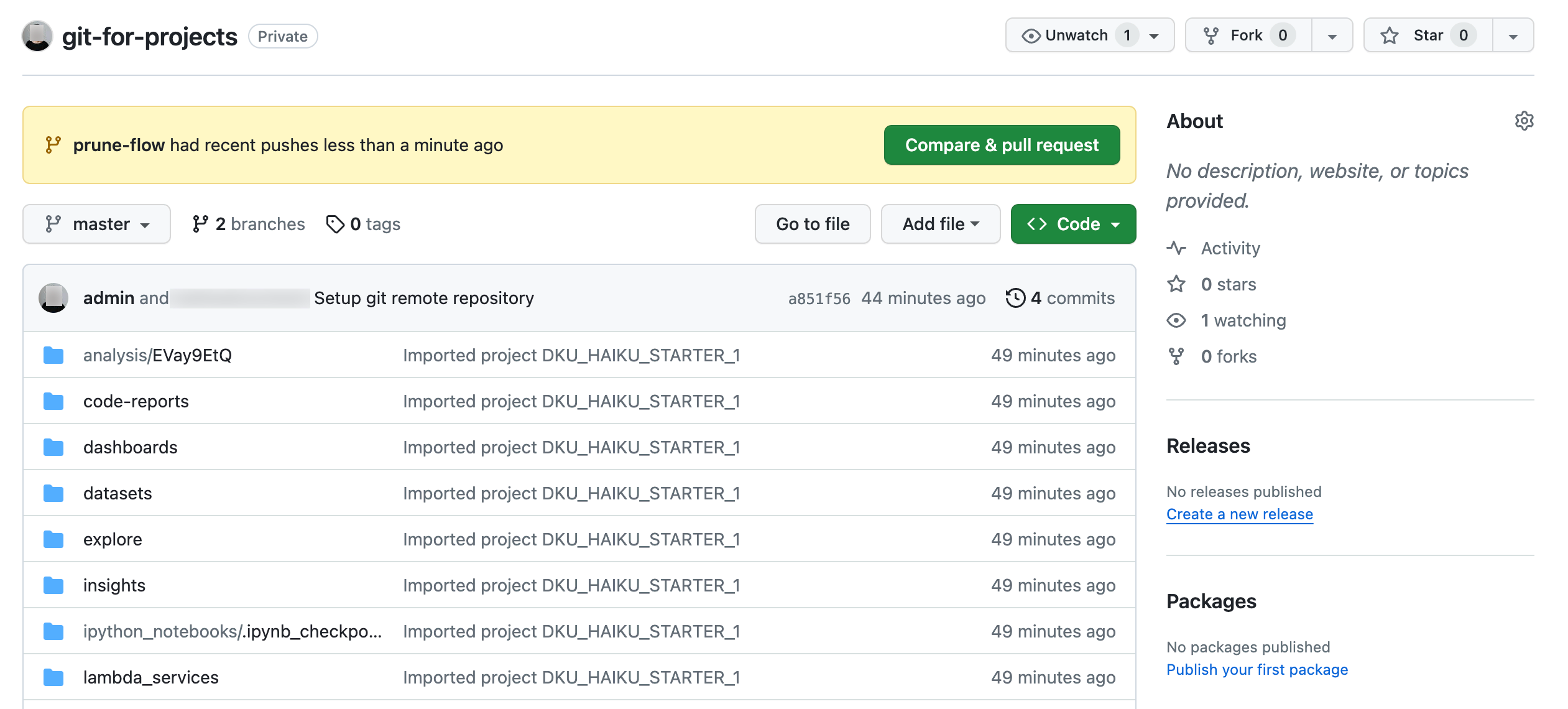 Screenshot of the repository page in Github.