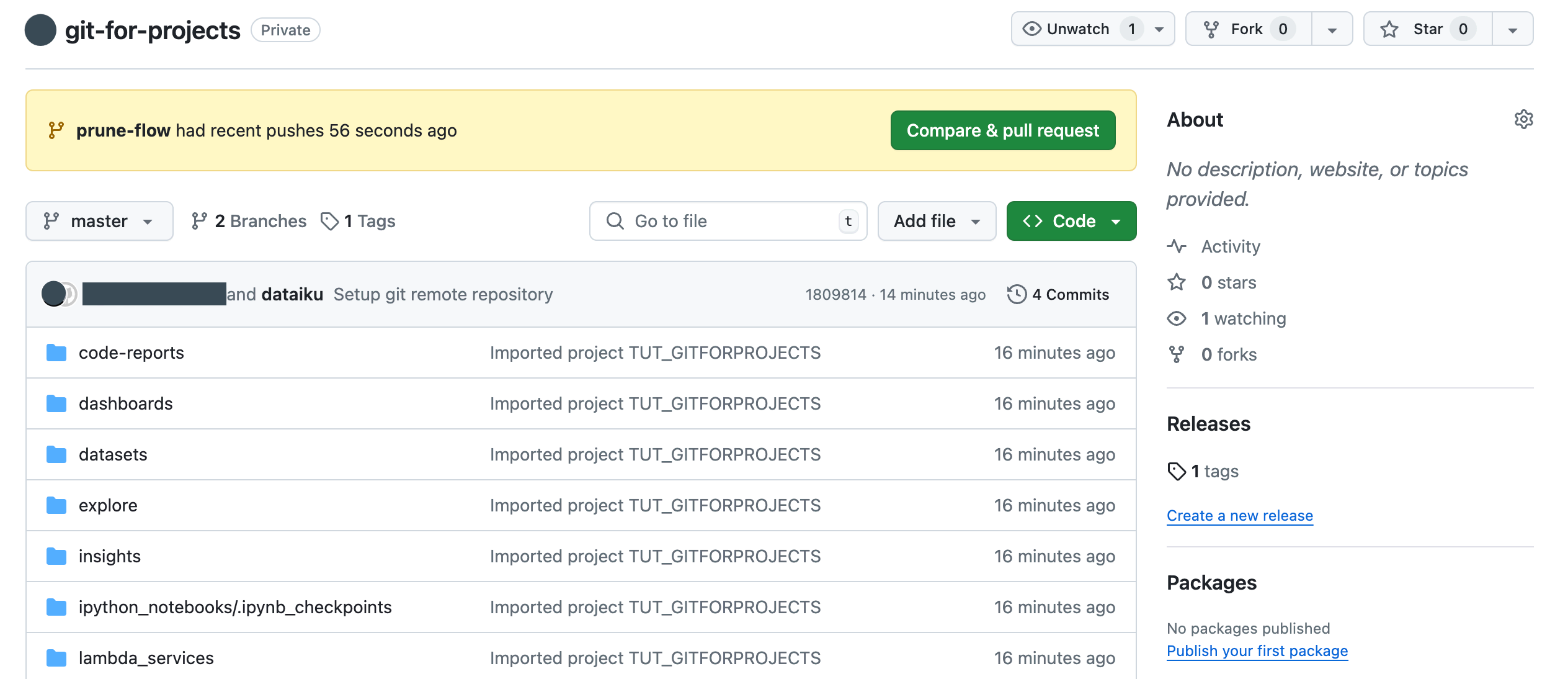 Screenshot of the repository page in Github.