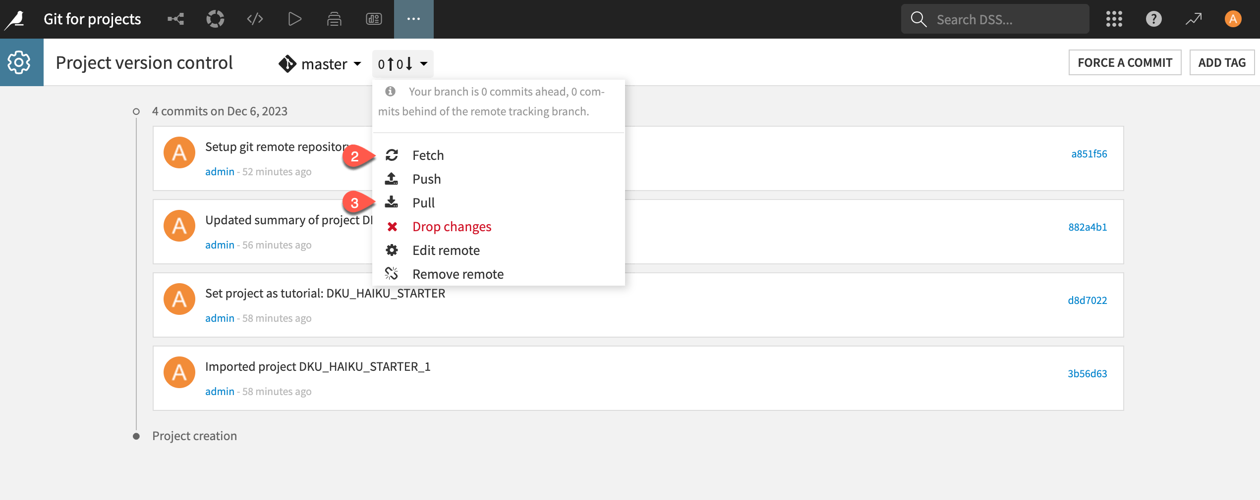 Dataiku screenshot highlighting the Fetch and Pull options of the Project version control page.