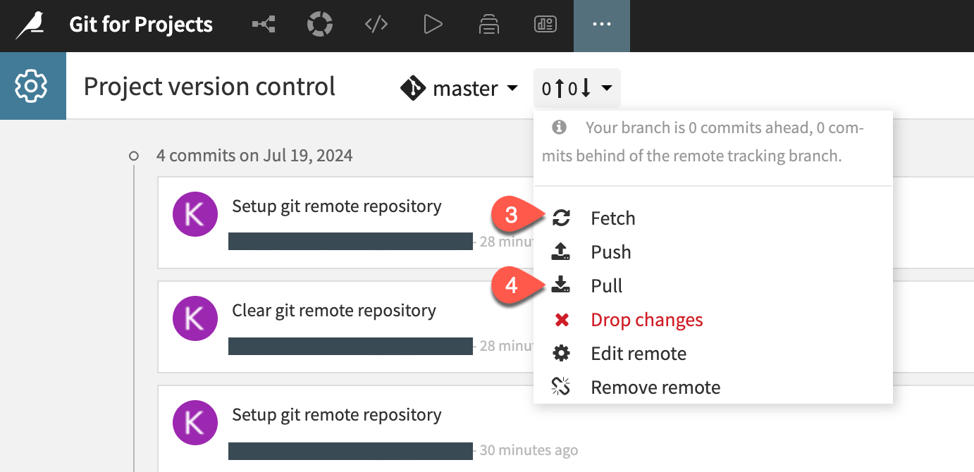 Dataiku screenshot highlighting the Fetch and Pull options of the Project version control page.