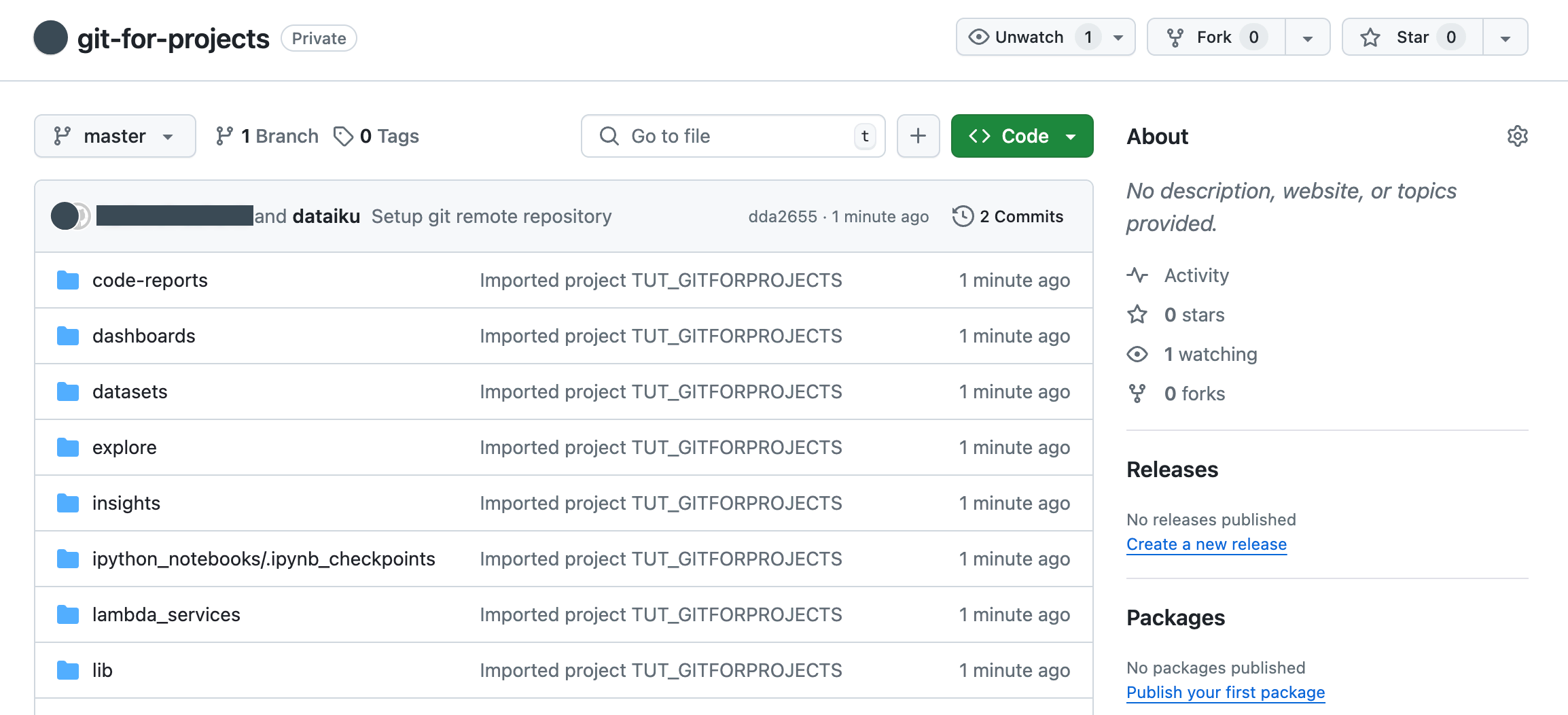 GitHub screenshot of the project pushed.