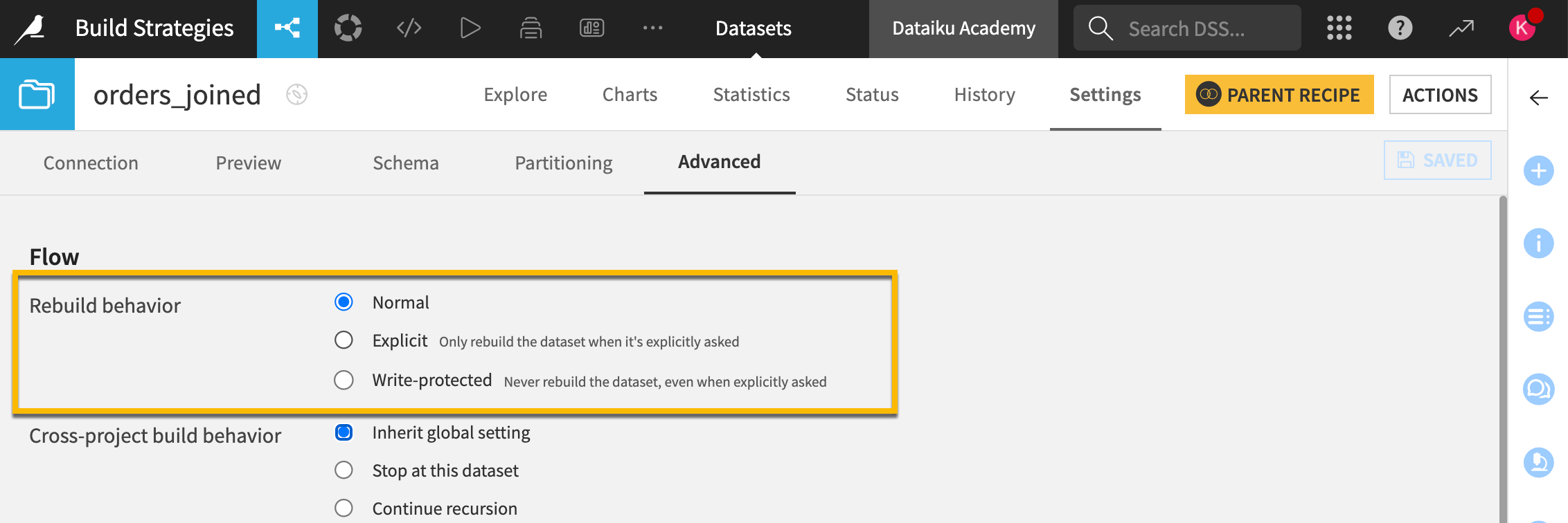 A screenshot highlighting the rebuild behavior settings of a dataset.