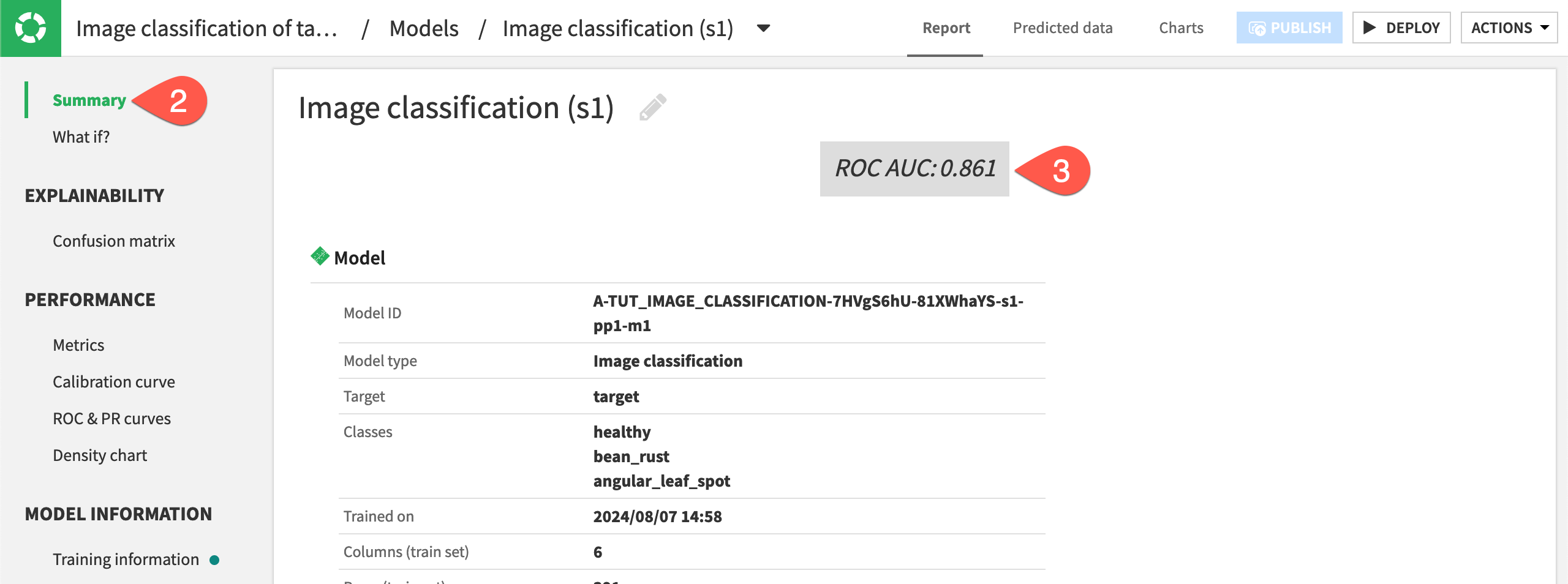 Screenshot showing the model summary.