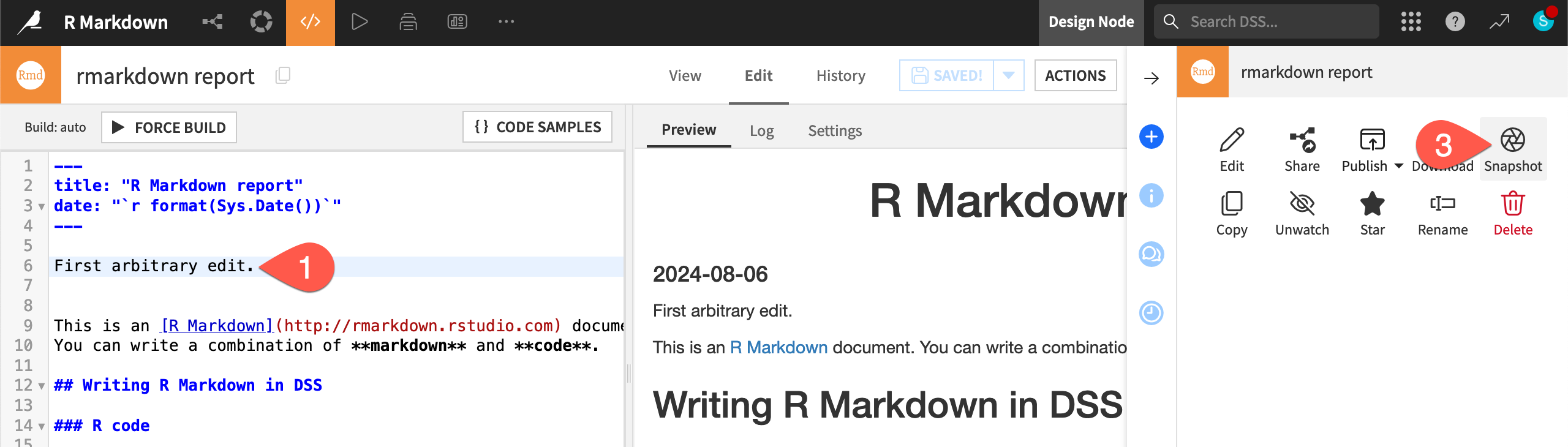 Dataiku screenshot of the snapshot action for an R Markdown report.