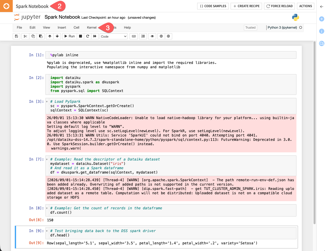 Screenshot of a Spark notebook example.