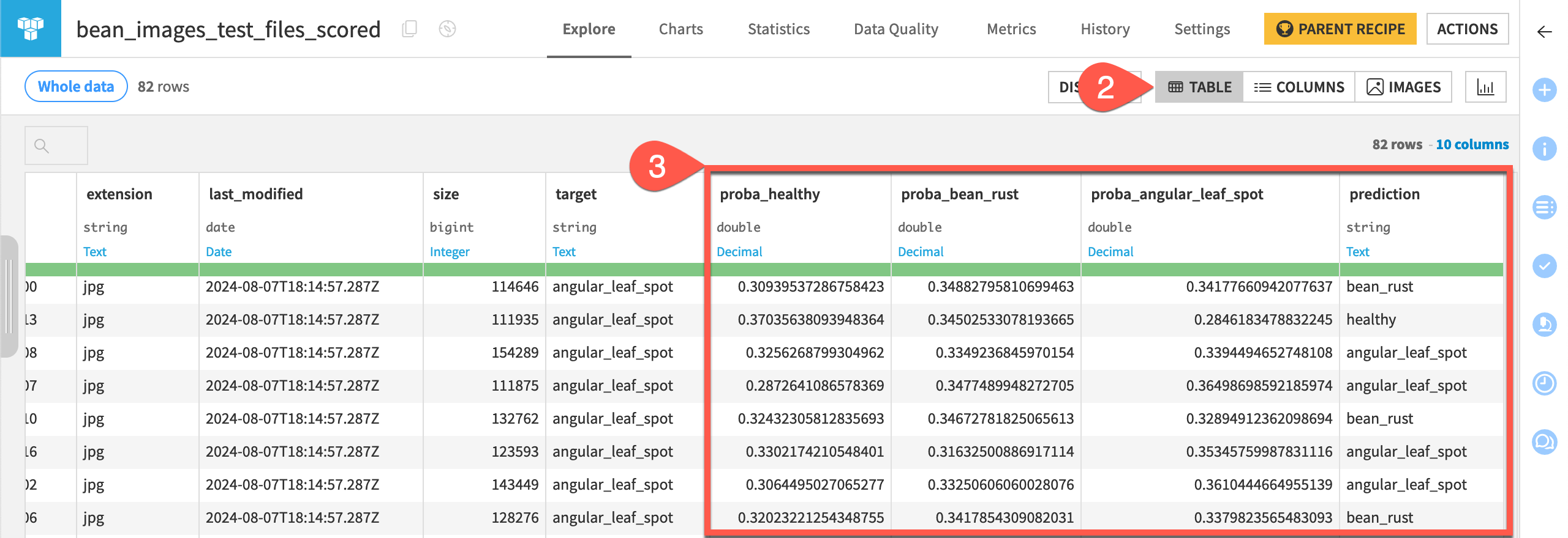 Screenshot showing the scored dataset in tabular format.