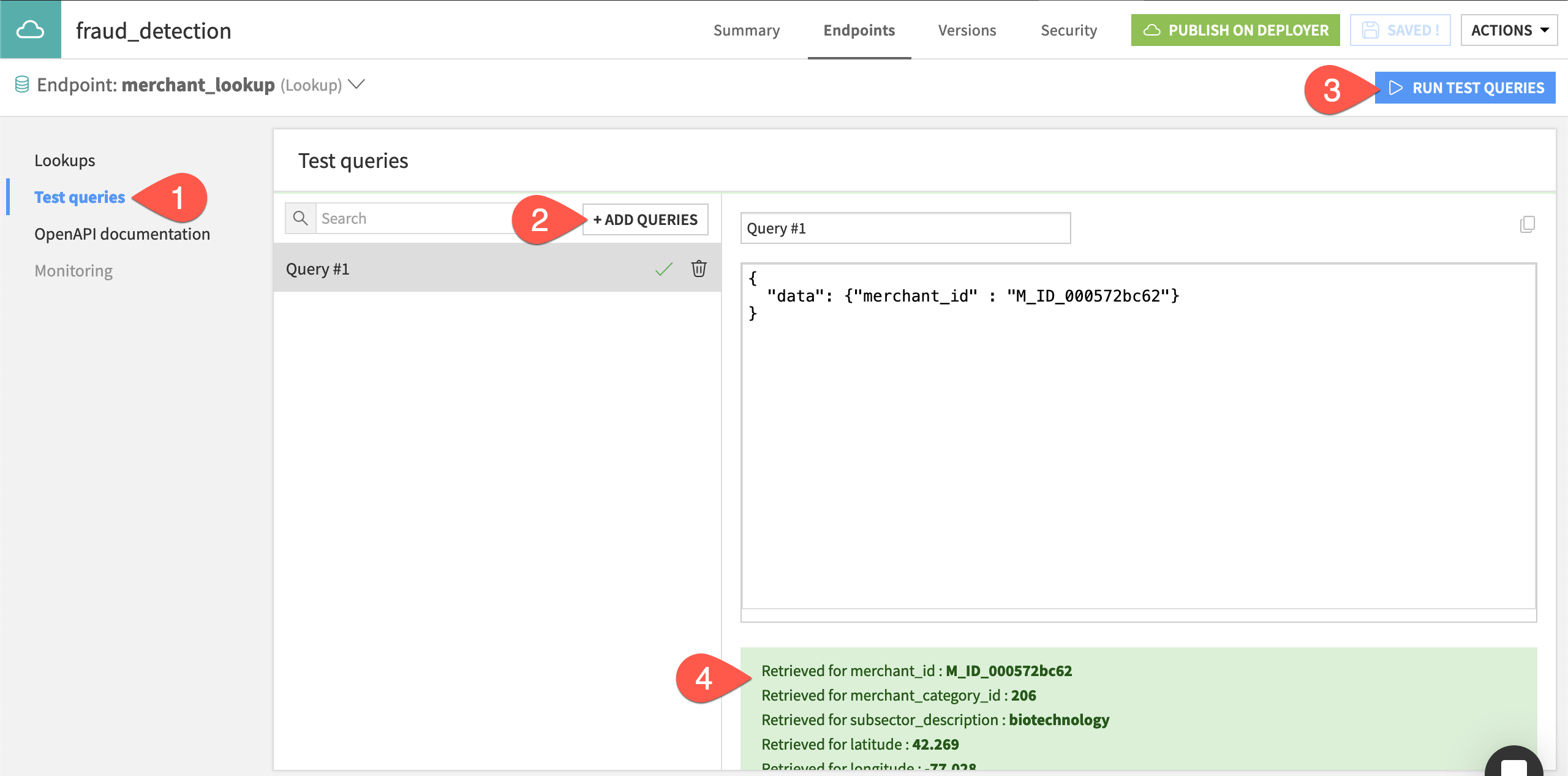 Dataiku screenshot of a test query on a dataset lookup endpoint.