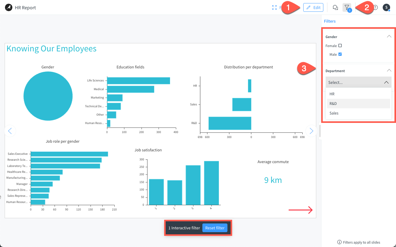 Dataiku screenshot of a story in view mode with some filters enabled.