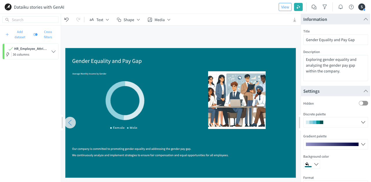 Dataiku screenshot of gender pay gap slide.