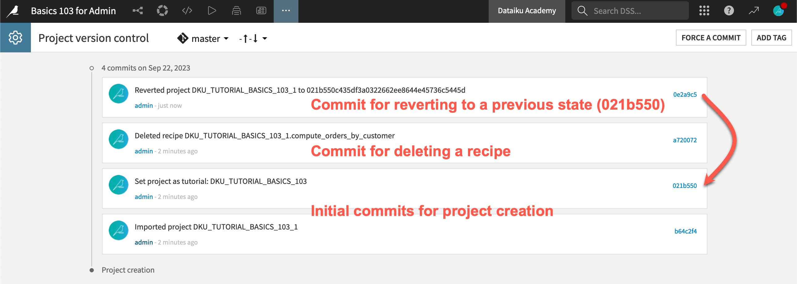 Dataiku screenshot of a project's version control git history.
