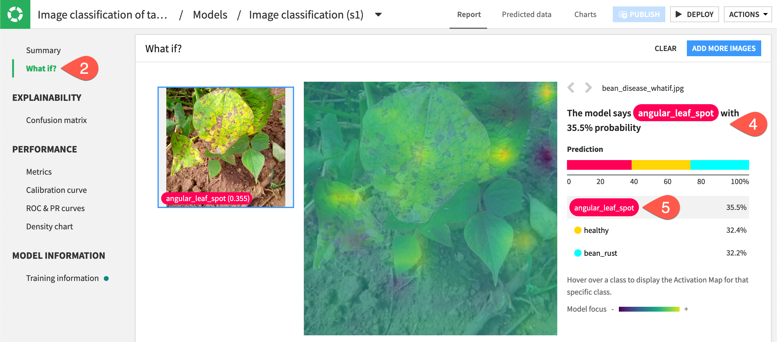 A heatmap shows which parts of the image the model focused on to classify an image.